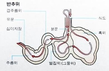 우리가 꼭 알아야 할 대창의 진실