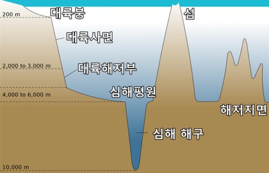 세계에서 가장 깊은 바다, 마리아나 해구의 심해생물