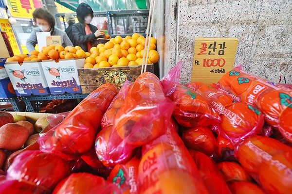 ‘한국 감, 17년 만에 중국 진출’…제주 한우·돼지고기 싱가포르 수출 본격화 / 사진=대한민국 정책브리핑