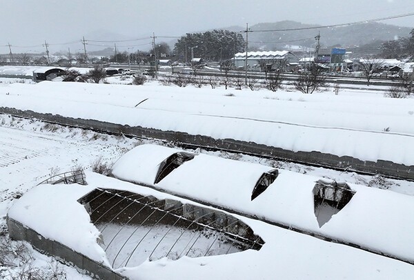 ‘겨울철 농업재해 총력 대응’…농식품부 “대설·한파 비상체계 가동” / 사진=대한민국 정책브리핑