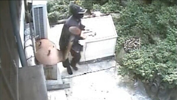 ‘생활의 달인 도둑 버전’…이지혜, ‘12억 6천 피해’ 3인조 연쇄 절도에 충격 / 사진=KBS