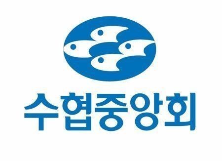 ‘500억원 추가 투입’…수협중앙회, 부실채권 정리에 속도낸다 / 사진=연합뉴스
