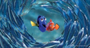 니모를 찾는 아빠의 입장에서: 소중한 만큼 거리 두기