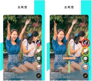 틱톡은 엄지 하나로 세계를 정복했다