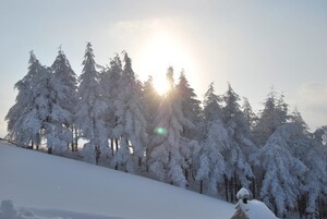 속도 대신 온기를 선택한 사람들…겨울, 머무는 여행이 뜬다