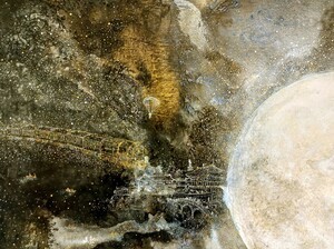 안정윤 개인전 ‘We are all stars in the sky’ "우리는 모두 별이었다"